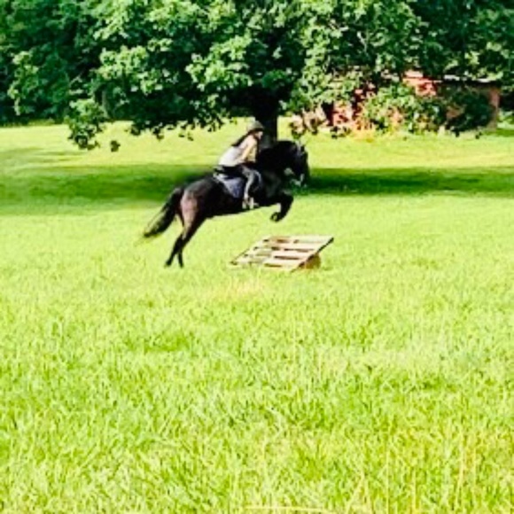 Heart Diamond Farm - Picture 15 of 15